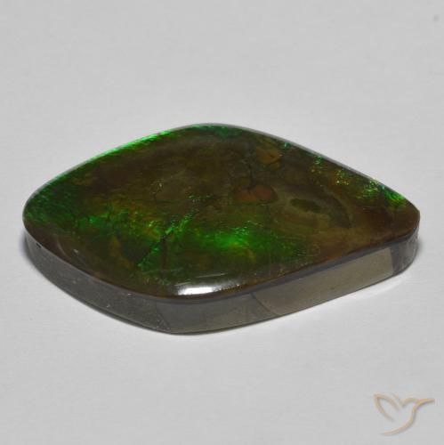 Ammolite Multicolore naturelle Fantaisie, 19.69 ct, Opaque