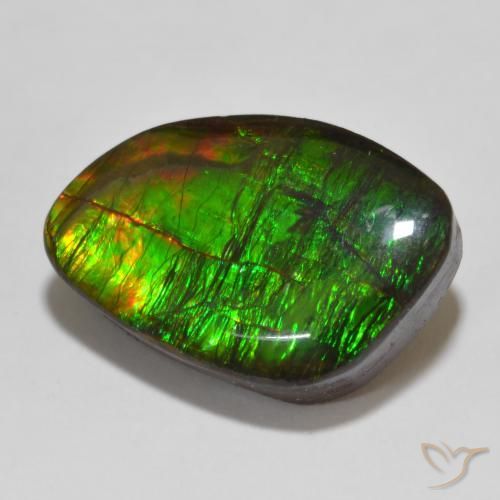 Ammolite Multicolore naturelle Fantaisie, 13.47 ct, Opaque