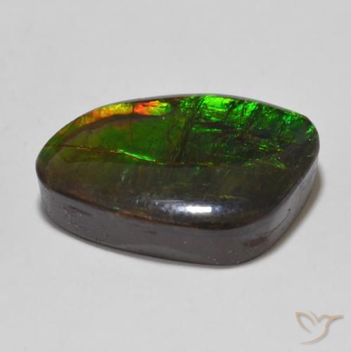 Ammolite Multicolore naturelle Fantaisie, 13.47 ct, Opaque