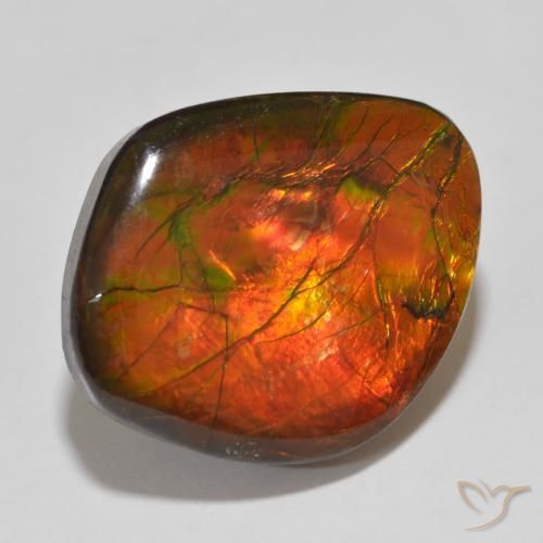 Ammolite Multicolore naturelle Fantaisie, 15.32 ct, Opaque