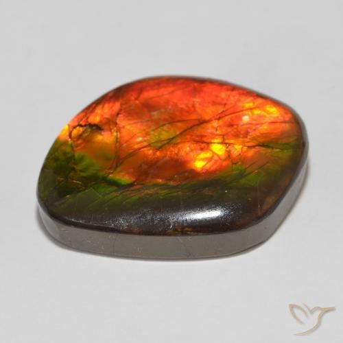 Ammolite Multicolore naturelle Fantaisie, 15.32 ct, Opaque