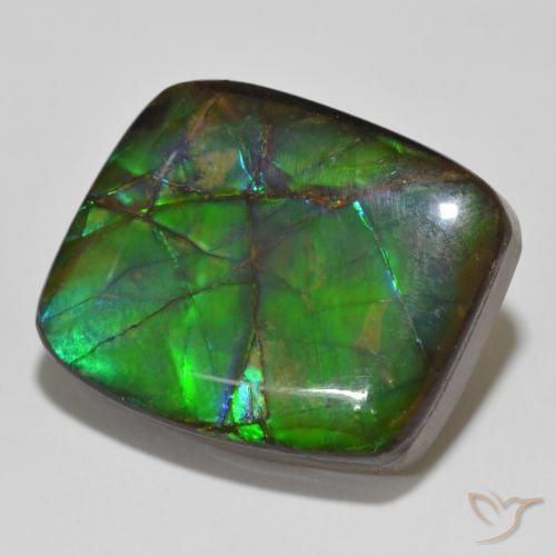 Ammolite Multicolore naturelle Fantaisie, 14.81 ct, Opaque