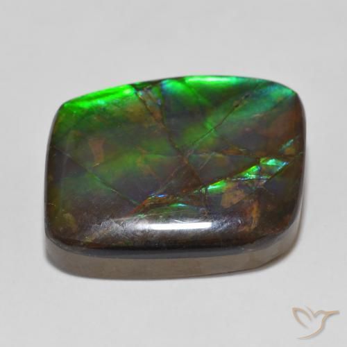 Ammolite Multicolore naturelle Fantaisie, 14.81 ct, Opaque