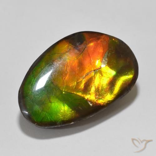 Ammolite Multicolore naturelle Fantaisie, 13.56 ct, Opaque