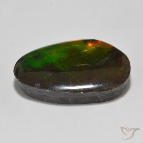 Ammolite Multicolore naturelle Fantaisie, 13.56 ct, Opaque
