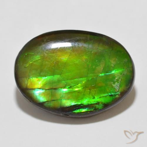 Ammolite Multicolore naturelle ovale, 12.26 ct, Opaque