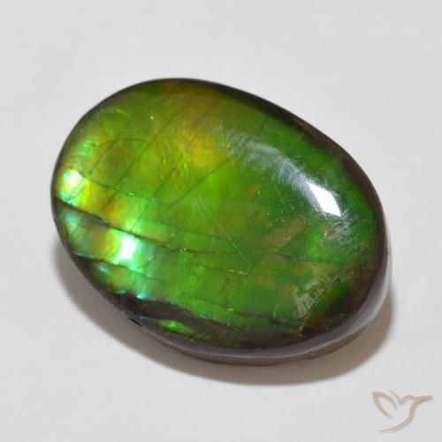 Ammolite Multicolore naturelle ovale, 12.26 ct, Opaque