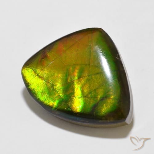 Ammolite Multicolore naturelle Fantaisie, 11.47 ct, Opaque