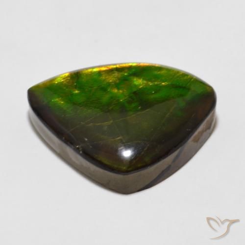 Ammolite Multicolore naturelle Fantaisie, 11.47 ct, Opaque