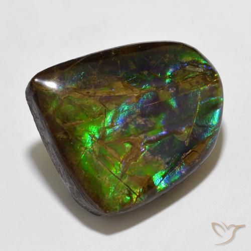 Ammolite Multicolore naturelle Fantaisie, 15.49 ct, Opaque