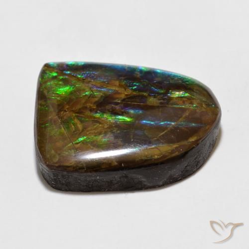 Ammolite Multicolore naturelle Fantaisie, 15.49 ct, Opaque