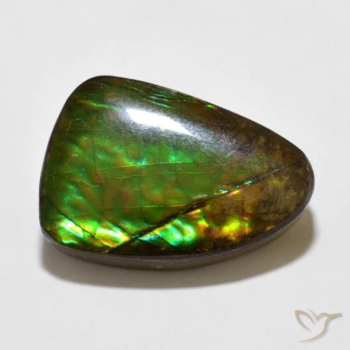 10.67ct Naturel Multicolore Ammolite, Fantaisie, Opaque