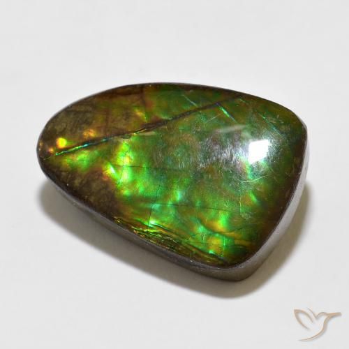 Ammolite Multicolore naturelle Fantaisie, 10.67 ct, Opaque