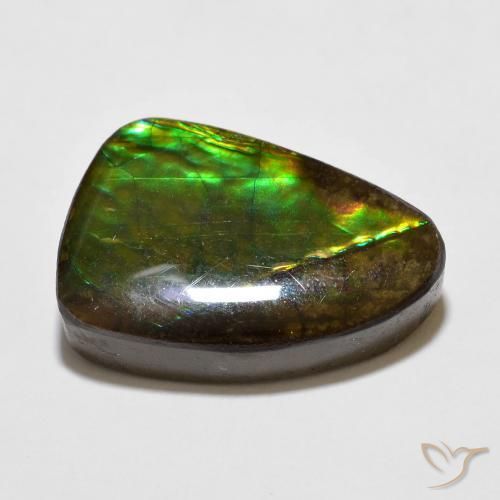 Ammolite Multicolore naturelle Fantaisie, 10.67 ct, Opaque