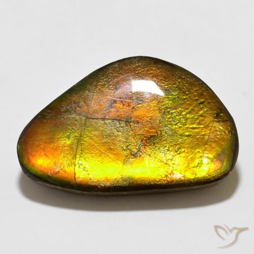 Ammolite Multicolore naturelle Fantaisie, 12.35 ct, Opaque
