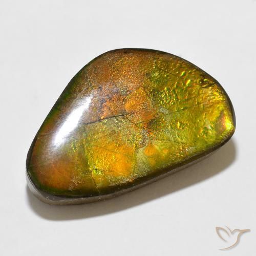 Ammolite Multicolore naturelle Fantaisie, 12.35 ct, Opaque