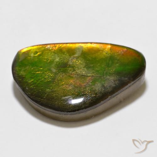 Ammolite Multicolore naturelle Fantaisie, 12.35 ct, Opaque