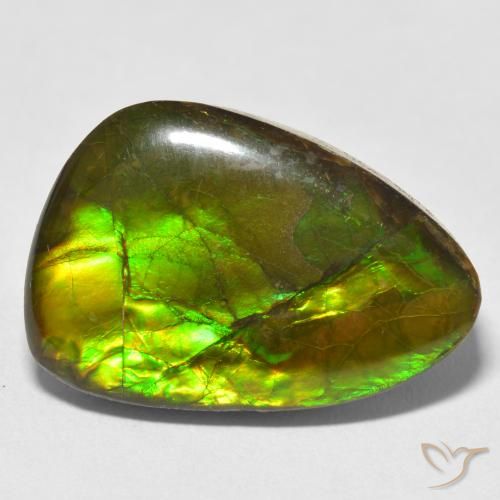 17.22ct Naturel Multicolore Ammolite, Fantaisie, Opaque