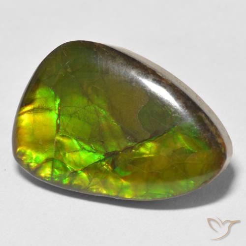 Ammolite Multicolore naturelle Fantaisie, 17.22 ct, Opaque