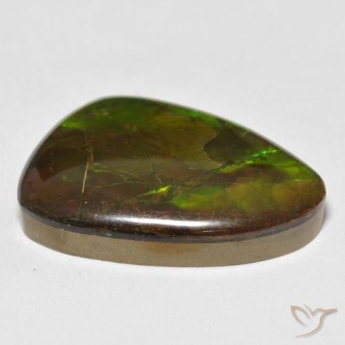 Ammolite Multicolore naturelle Fantaisie, 17.22 ct, Opaque