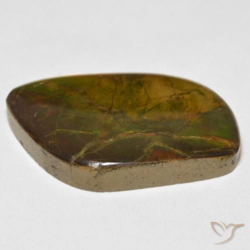 Ammolite Multicolore naturelle Fantaisie, 16.70 ct, Opaque