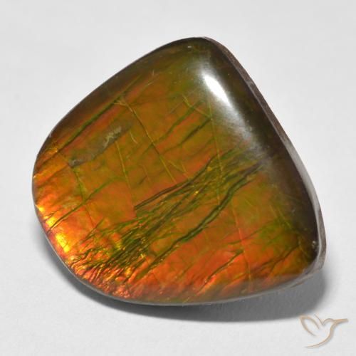Ammolite Multicolore naturelle Fantaisie, 17.88 ct, Opaque