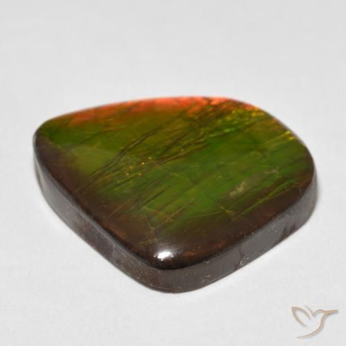 Ammolite Multicolore naturelle Fantaisie, 17.88 ct, Opaque