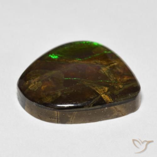 Ammolite Multicolore naturelle Fantaisie, 13.52 ct, Opaque