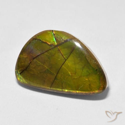 Ammolite Multicolore naturelle Fantaisie, 11.63 ct, Opaque