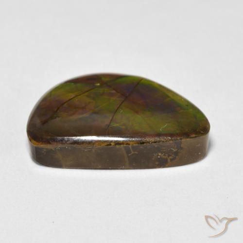Ammolite Multicolore naturelle Fantaisie, 11.63 ct, Opaque
