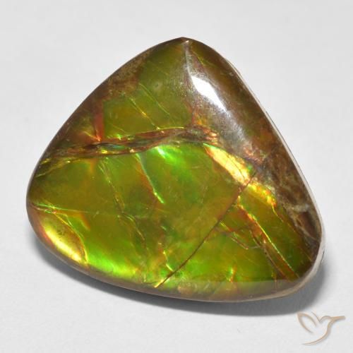 Ammolite Multicolore naturelle Fantaisie, 13.26 ct, Opaque