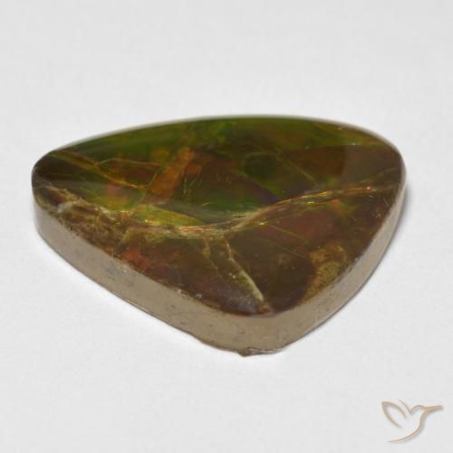 Ammolite Multicolore naturelle Fantaisie, 13.26 ct, Opaque