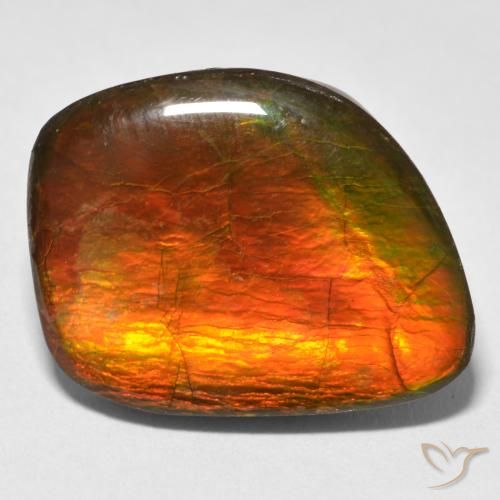 15.38ct Naturel Multicolore Ammolite, Fantaisie, Opaque