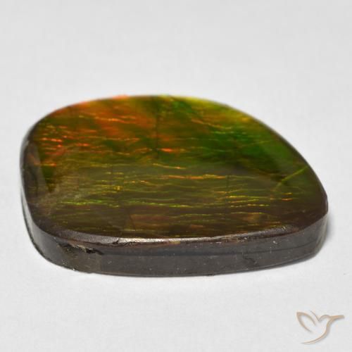 Ammolite Multicolore naturelle Fantaisie, 15.38 ct, Opaque
