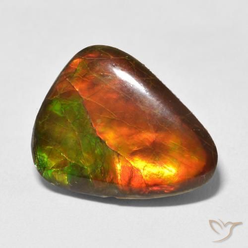 Ammolite Multicolore naturelle Fantaisie, 13.25 ct, Opaque