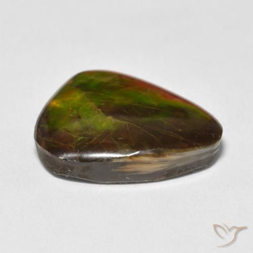 Ammolite Multicolore naturelle Fantaisie, 13.25 ct, Opaque