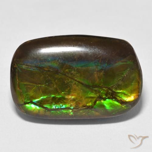 Ammolite Multicolore naturelle Fantaisie, 16.16 ct, Opaque