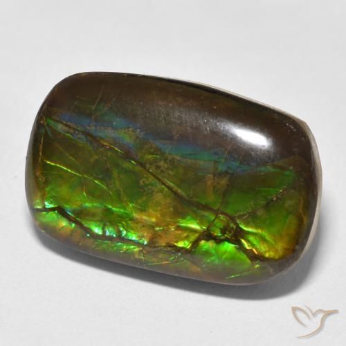 Ammolite Multicolore naturelle Fantaisie, 16.16 ct, Opaque