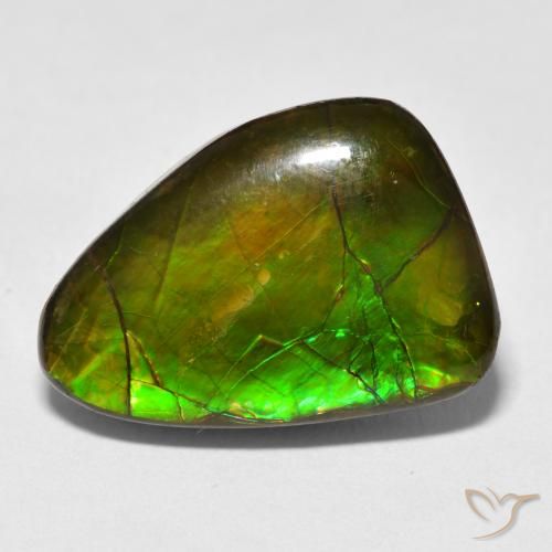 13.40ct Naturel Multicolore Ammolite, Fantaisie, Opaque