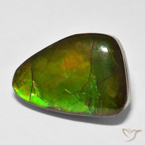 Ammolite Multicolore naturelle Fantaisie, 13.40 ct, Opaque