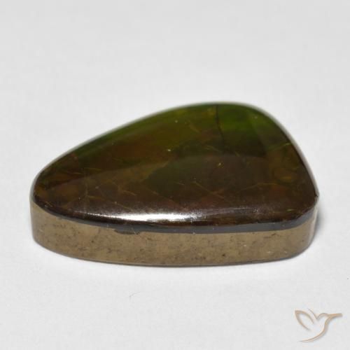 Ammolite Multicolore naturelle Fantaisie, 13.40 ct, Opaque