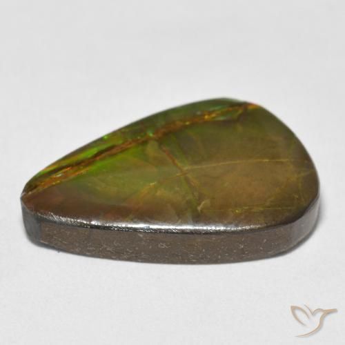 Ammolite Multicolore naturelle En forme de poire, 11.59 ct, Opaque