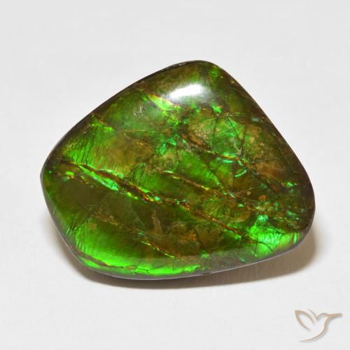 18.11ct Naturel Multicolore Ammolite, Fantaisie, Opaque