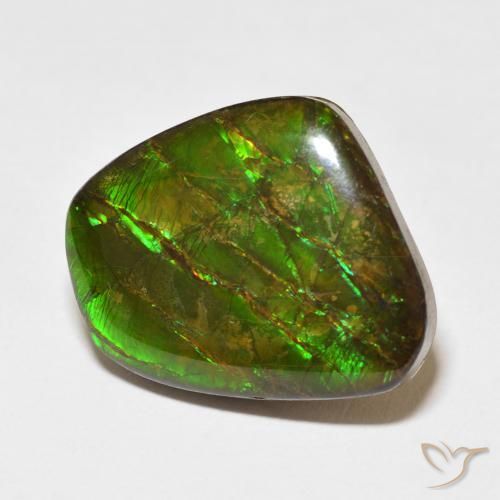 Ammolite Multicolore naturelle Fantaisie, 18.11 ct, Opaque