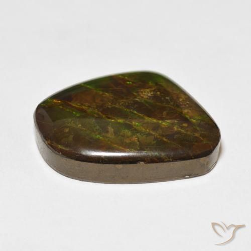 Ammolite Multicolore naturelle Fantaisie, 18.11 ct, Opaque