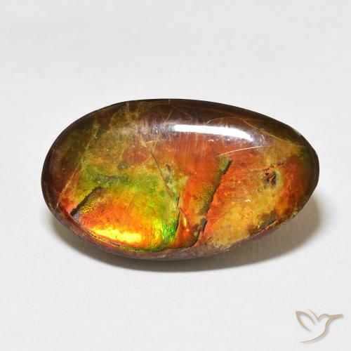 15.62ct Naturel Multicolore Ammolite, Fantaisie, Opaque
