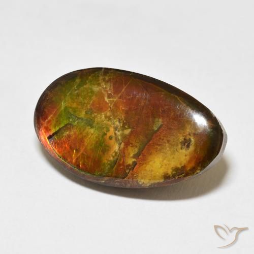 Ammolite Multicolore naturelle Fantaisie, 15.62 ct, Opaque