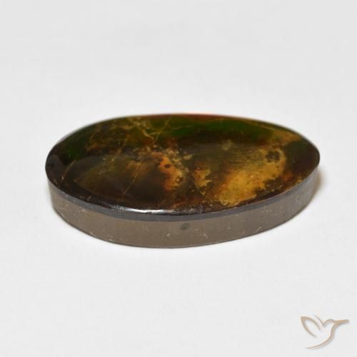 Ammolite Multicolore naturelle Fantaisie, 15.62 ct, Opaque