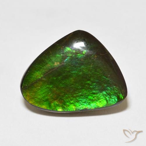 11.37ct Naturel Multicolore Ammolite, Fantaisie, Opaque