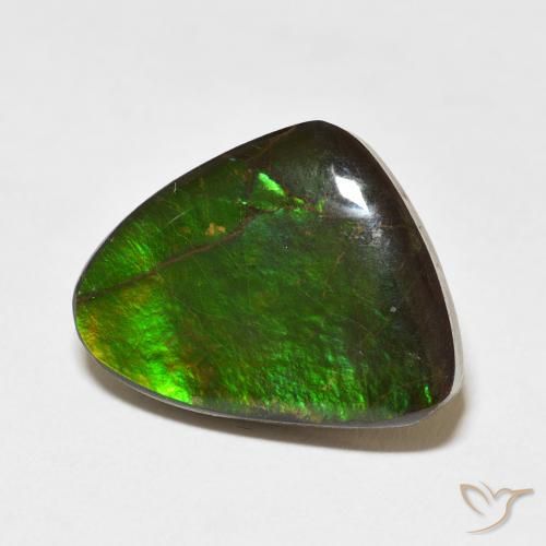 Ammolite Multicolore naturelle Fantaisie, 11.37 ct, Opaque